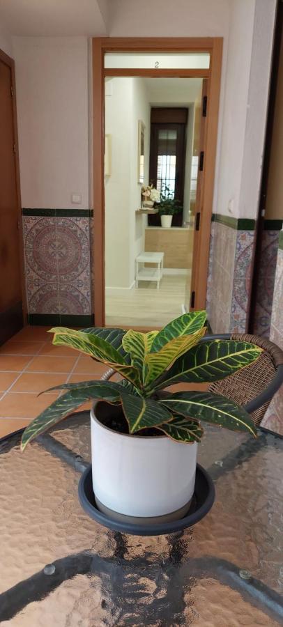 Cordvba Osario Centro Apartment Cordoba Ngoại thất bức ảnh